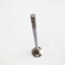 New Weicai Heavy Truck Exhaust Valve and Intake Valve